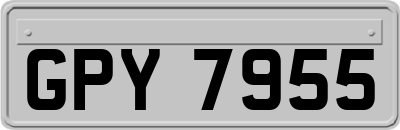 GPY7955