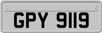 GPY9119
