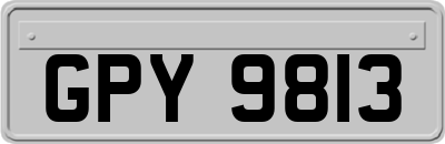 GPY9813