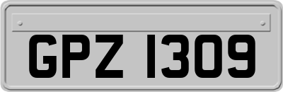 GPZ1309