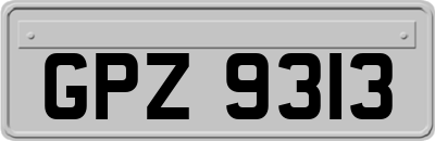 GPZ9313