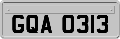 GQA0313