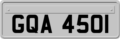 GQA4501