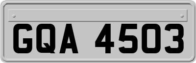 GQA4503