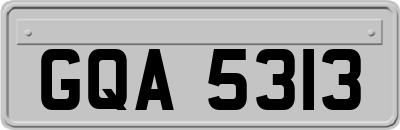 GQA5313