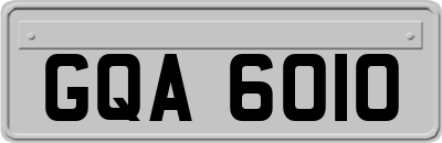 GQA6010