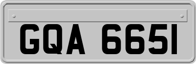 GQA6651