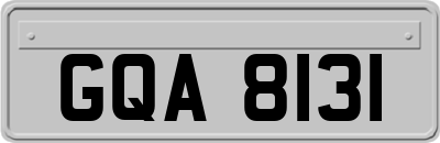 GQA8131