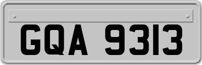 GQA9313