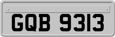 GQB9313