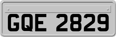 GQE2829
