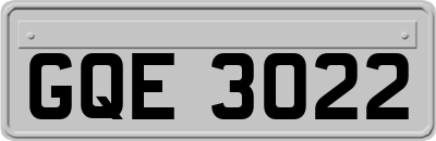 GQE3022