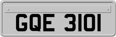 GQE3101
