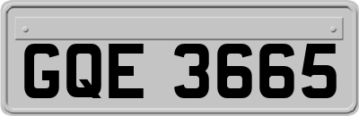 GQE3665