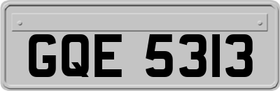 GQE5313