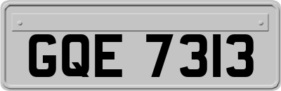 GQE7313