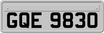 GQE9830