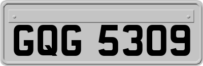 GQG5309