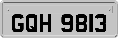 GQH9813