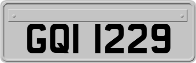 GQI1229