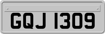 GQJ1309