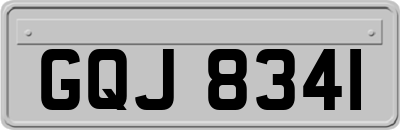 GQJ8341