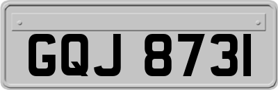 GQJ8731