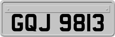 GQJ9813