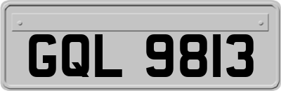 GQL9813