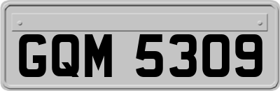 GQM5309