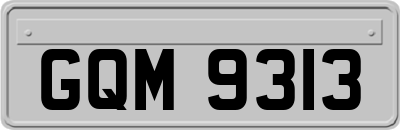 GQM9313