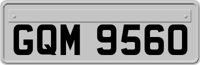 GQM9560
