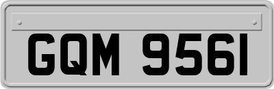 GQM9561