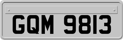 GQM9813