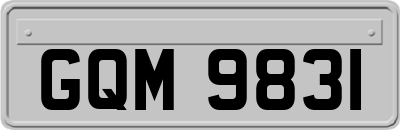 GQM9831