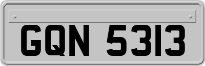 GQN5313