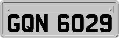 GQN6029
