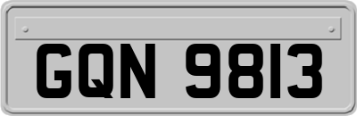 GQN9813