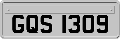 GQS1309