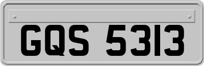 GQS5313