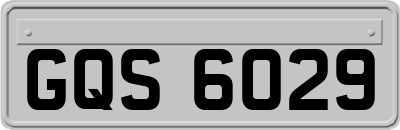 GQS6029