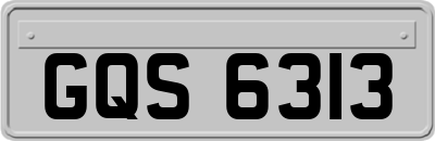 GQS6313