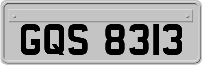 GQS8313