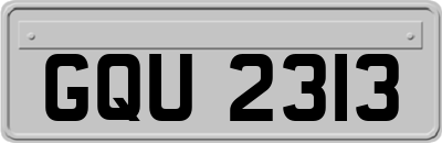 GQU2313