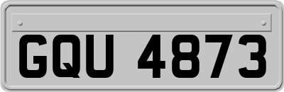 GQU4873