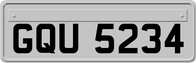 GQU5234