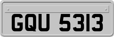 GQU5313