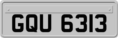 GQU6313