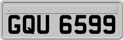 GQU6599