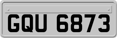 GQU6873